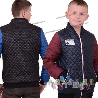 Куртка для мальчика Дарий (Украина)